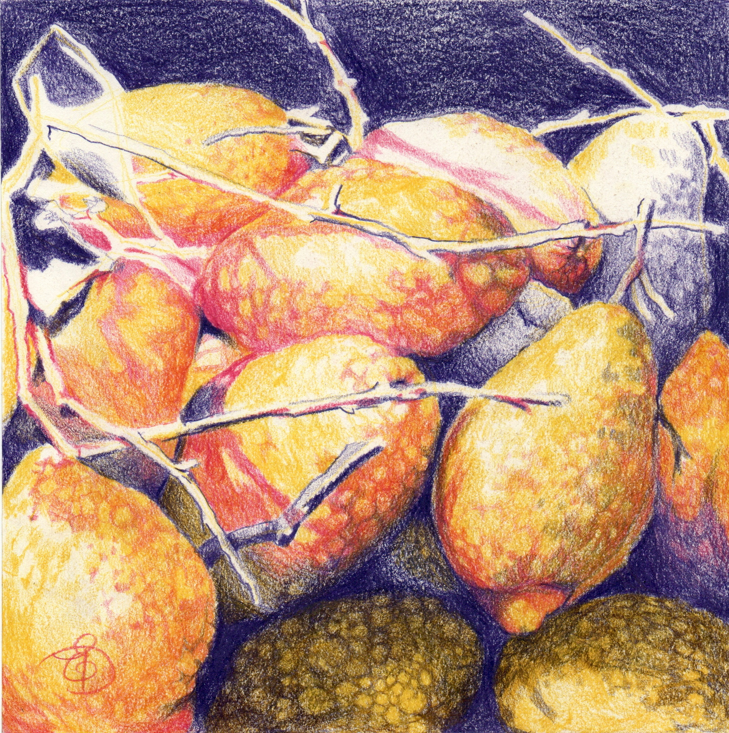 citrons de catane