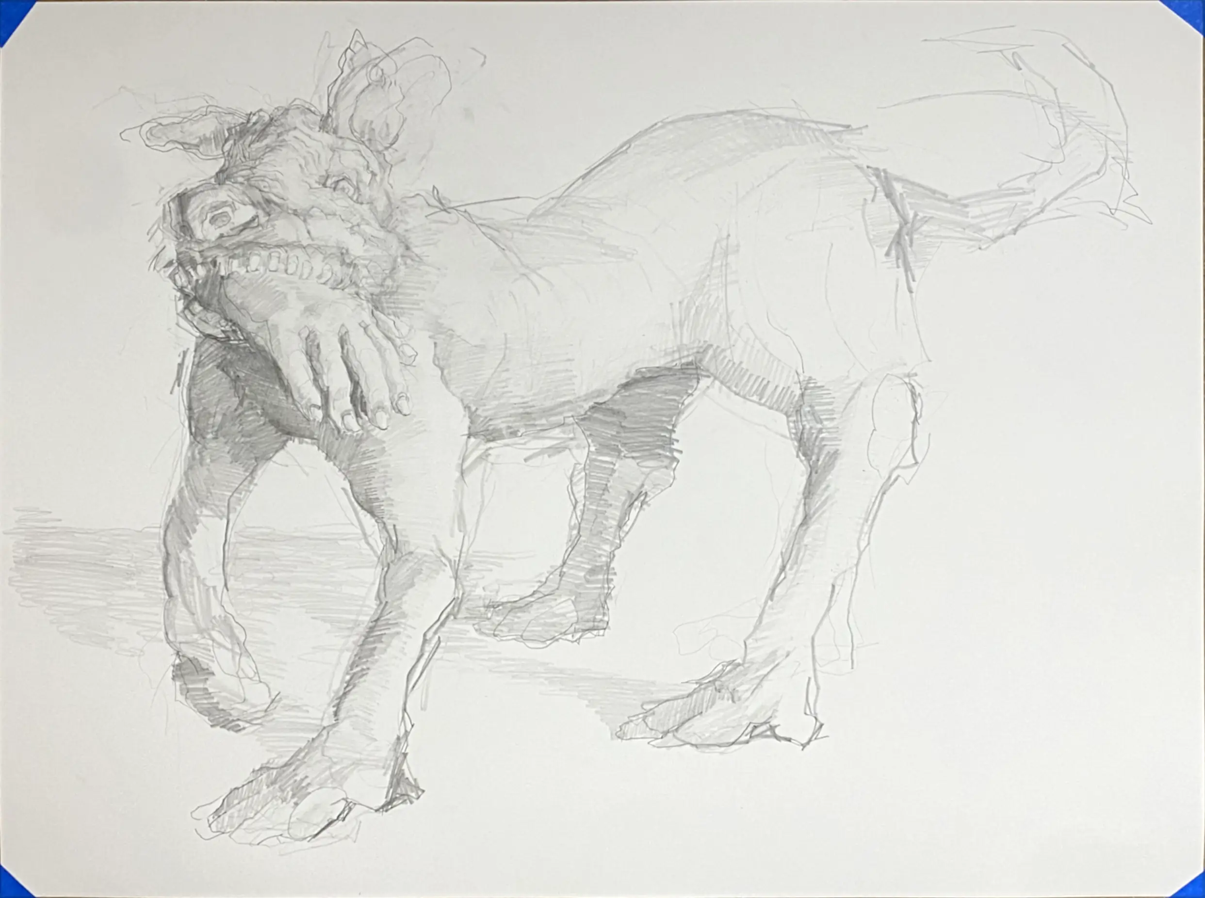 the hand that feeds you