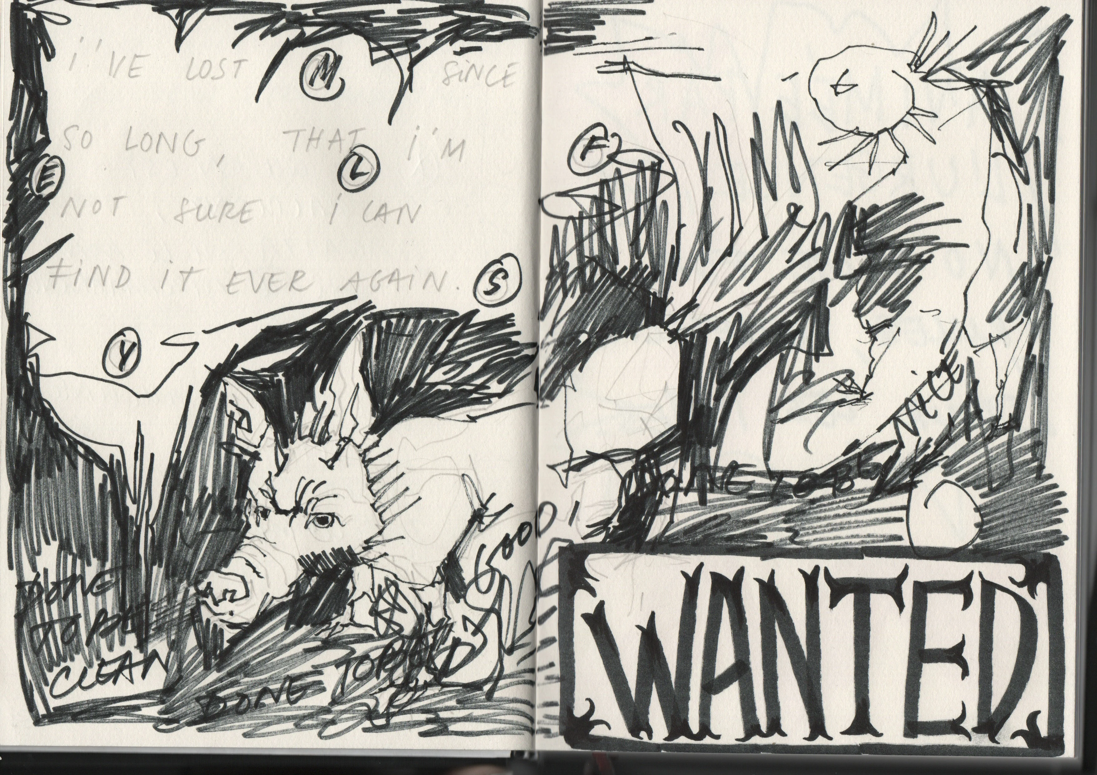 wanted marqueurs