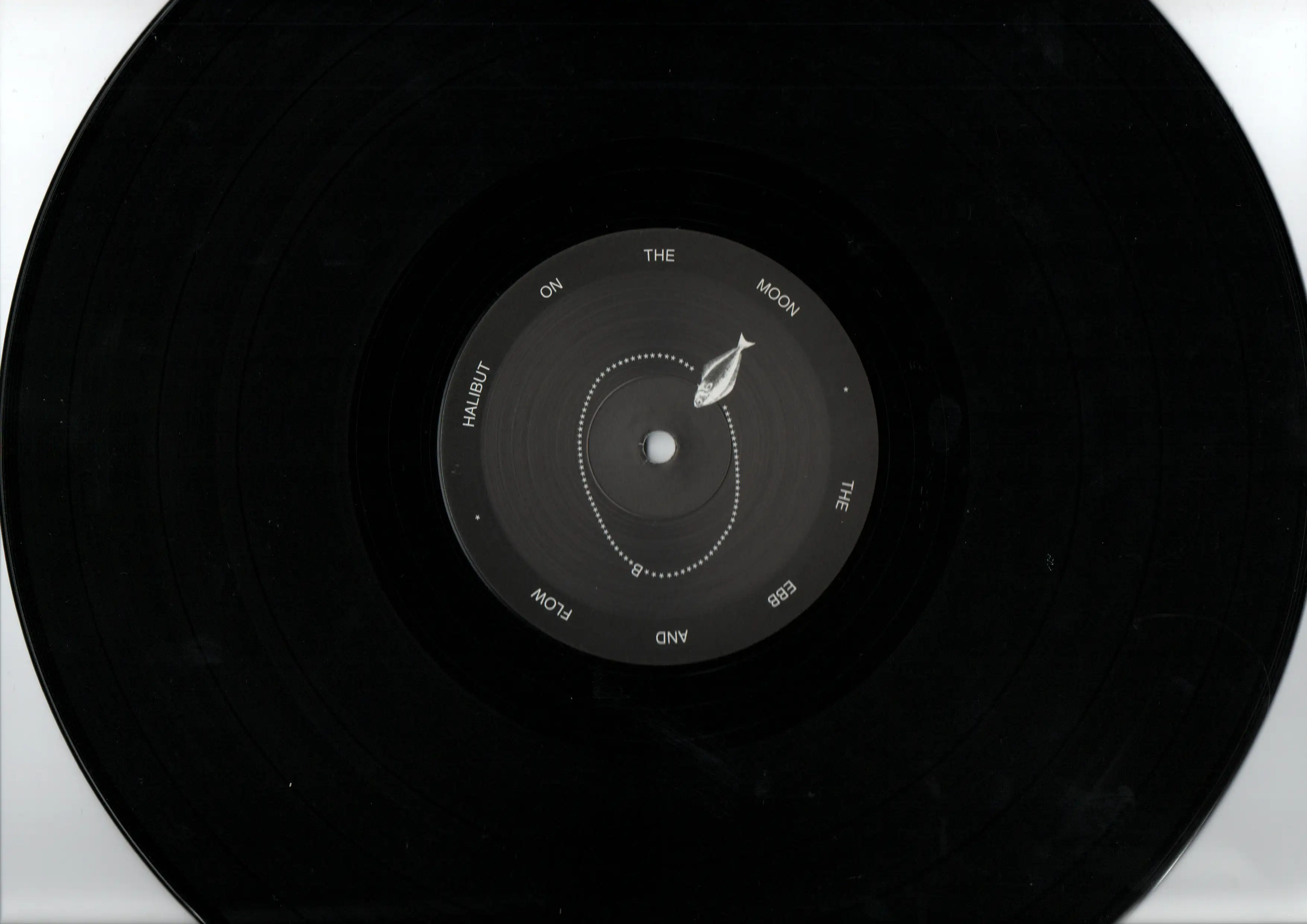 vinyle B